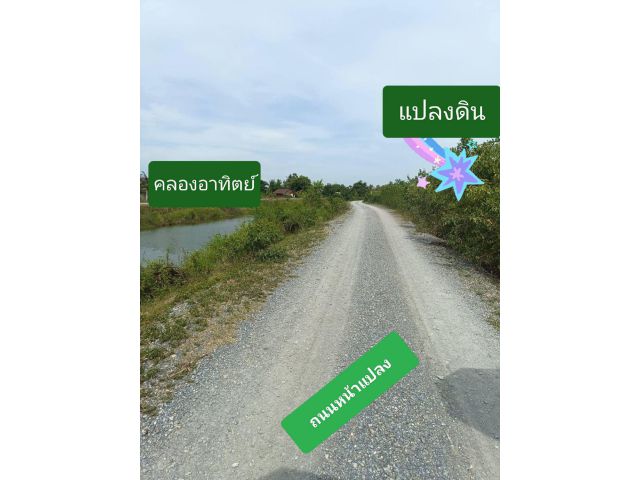 ขายด่วน ติดคลองอาทิตย์ 2 ไร่ ระโนด