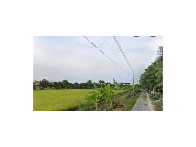 ขายด่วน!!!ที่ดินทำเลดี ต.คลองโยง ใกล้ถนน4เลนเส้น(3004) ใกล้ชุมชนเนื้อที่ 200 ตรว.เหมาะปลูกบ้านหรือทำธุรกิจประเภทต่างๆ