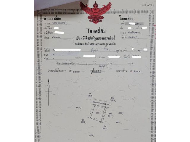 โฉนดครุฑแดง 1 ไร่ สายธรรมชาติจะถูกใจสิ่งนี้ เจ้าของขายเอง