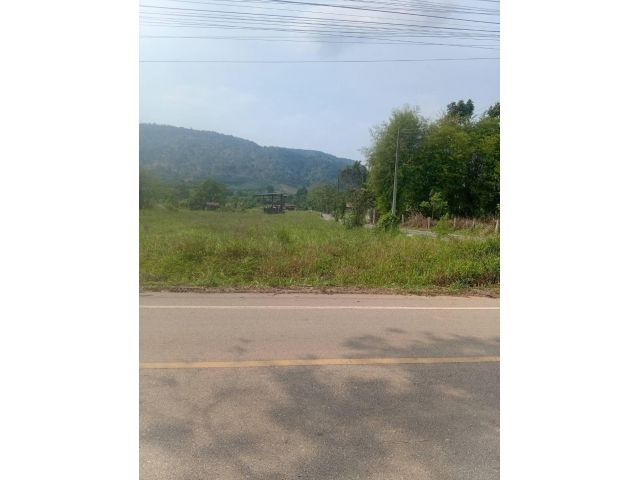 ที่ดินเขตเทศบาลภูเรือ2ไร่ละ 5 ล้าน  ไฟผ่าน บรรยากาศดี น่าอยู่มาก