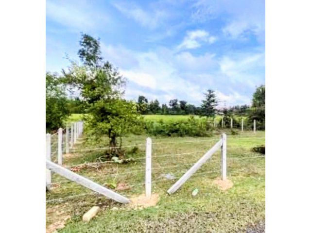 ที่ดินแปลงเล็ก ราคาถูก 165,000 บาทเท่านั้น นางรอง บุรีรัมย์