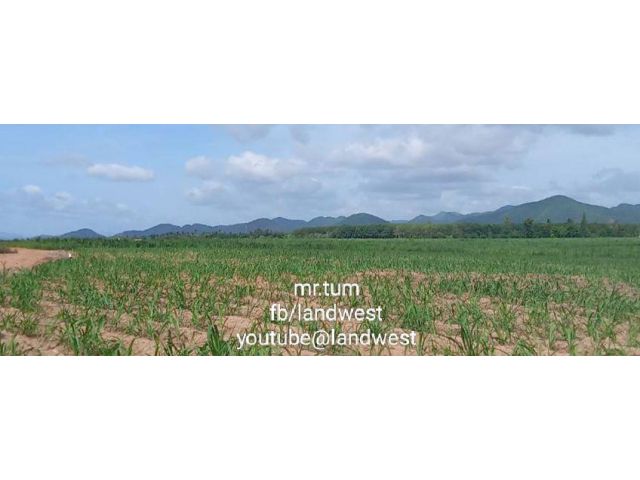 ขายที่ดิน นส3 ก. รวม 800-1,000 ไร่ ที่ดินแนวราบ เหมาะทําดาต้าเซนเตอร์ รีสอรท์ สนามกลอฟฯ นานาชาติ