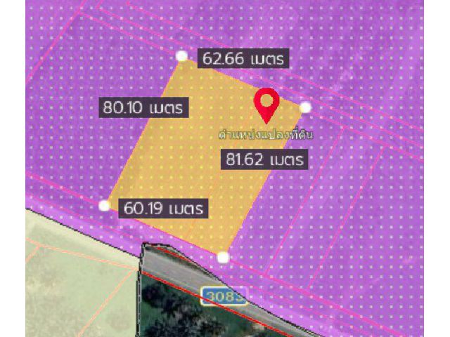 ขายที่ดินหนองเสือช้างสีม่วงลาย 3 ไร่ ติดนิคมWHA ติดถนน3083 อ.หนองใหญ่ จ.ชลบุรี