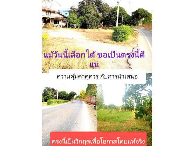 มีสัญญาณที่ดีและดี ณ.ปัจจุบันเป็นตัวเลือก ที่สนใจที่ดินติดถนนหลักย่านเจริญ เดินทางสะดวกไม่ไกลหากไปก็เห็นเป็นที่ประจักษ์