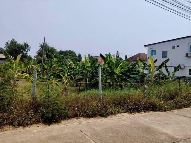 ขายที่ดินบ้านใหม่สามัคคีแม่เหียะพร้อมโอน