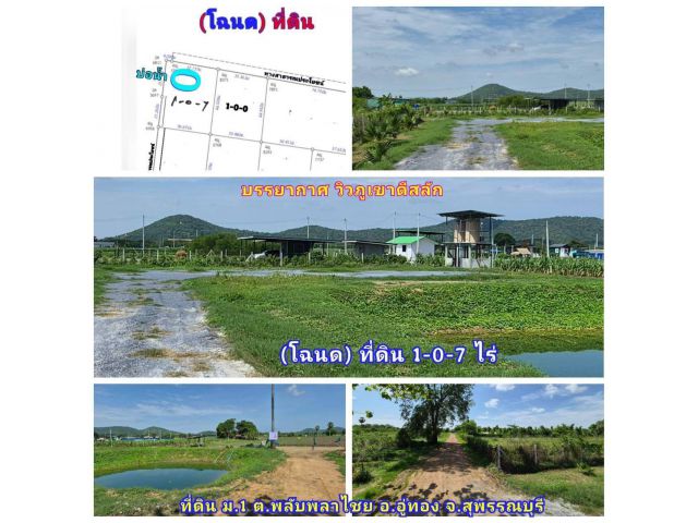 (โฉนด) ที่ดิน 1 ไร่ (พร้อมถมแล้ว) ใกล้วิวภูเขา วัดเขาดีสลัก 2 กม. ถนน ไฟฟ้า น้ำประปา ม.1 ต.พลับพลาไชย อ.อู่ทอง 13 กม. จ.สุพรรณบุรี