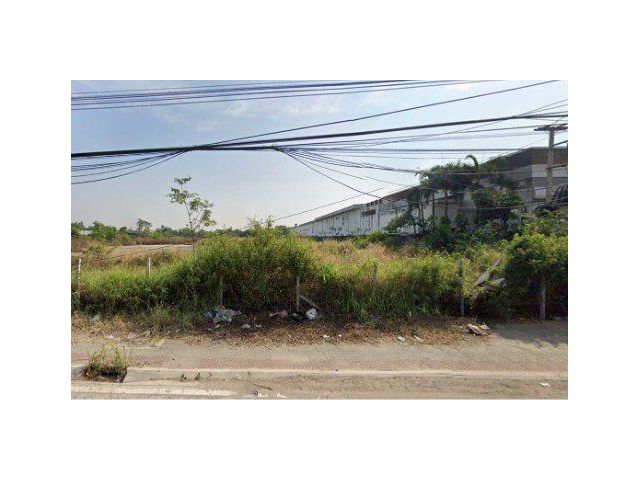ขายที่ดิน 13 ไร่ ถมแล้ว ติดถนน307 ต.บางคูวัด อ.เมือง จ.ปทุมธานี