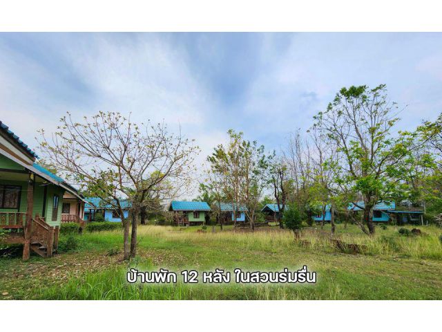 ขายรีสอร์ท 9 ไร่ ต.ทุ่งโพธิ์ อ.นาดี จ.ปราจีนบุรี