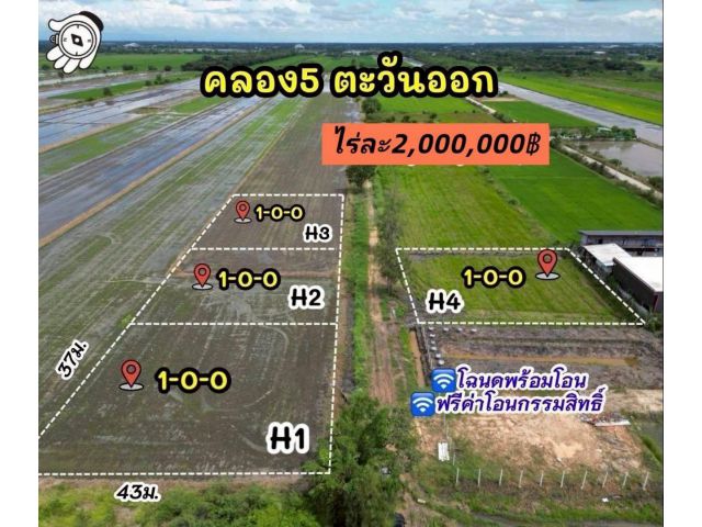 แปลงคลอง5 ตะวันออก เนื้อที่ 4 ไร่ ️แบ่งขายแปลงละ1ไร่ ขายไร่ละ 2,000,000 บาท