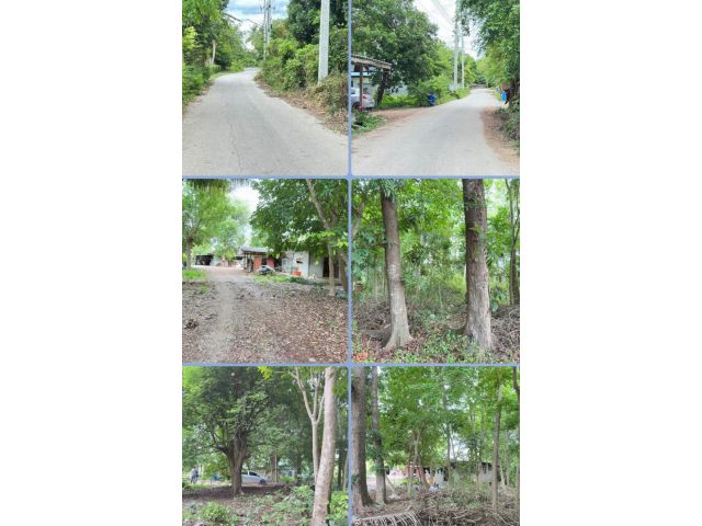 ที่ดินพร้อมบ้าน