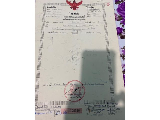 ขายที่ดินถูก 50 ตารางวา 490000 บาท จ.ระยอง