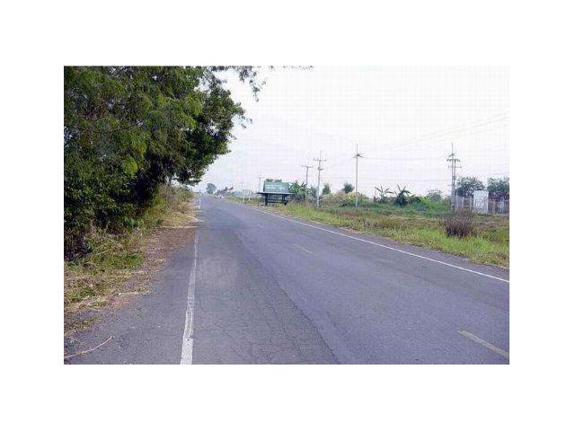 ขายที่ดิน 4 ไร่ ติดถ.ใหญ่ นย.2024 ถมดินแล้ว ใกล้วัดโพธิ์แทน อ.องครักษ์ จ.นครนายก