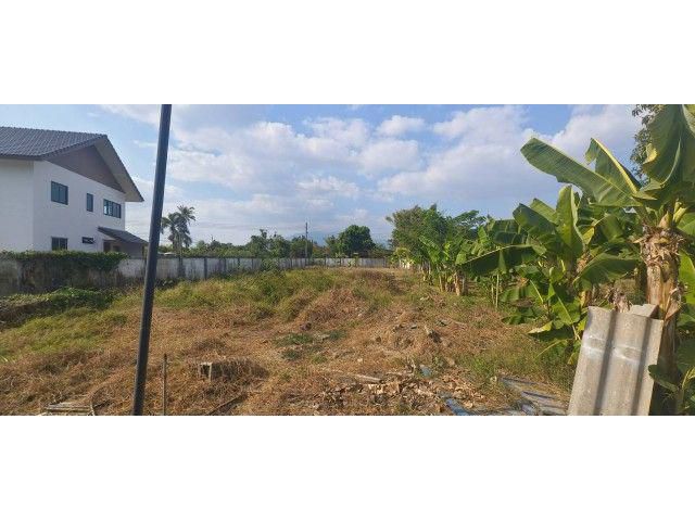 ขายที่ดินพร้อมหอพัก อำเภอสารภี เชียงใหม่ เนื้อที่ 3 ไร่ 3 งาน 40 ตร.วา