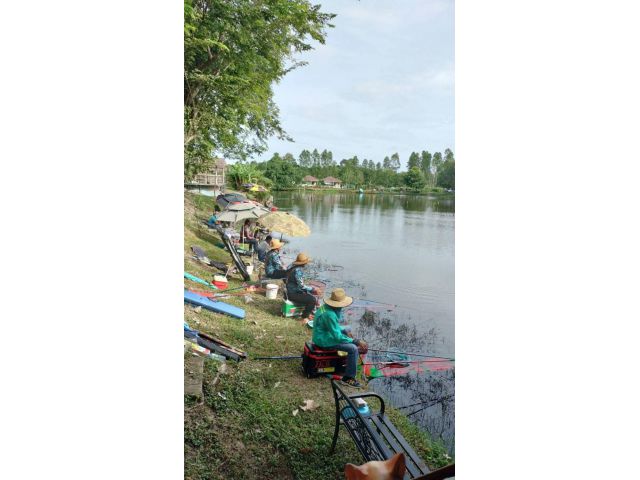 ให้เช่า ที่ดิน สวย ถูก มีสระน้ำใหญ่ มีลานกางเต็นท์  Camping