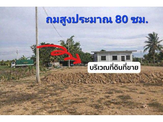 ที่ดินถมแล้ว พร้อมปลูกบ้าน ทำเลดี นครปฐม ใกล้กรุงเทพ เดินทางสะดวก เข้า-ออกได้หลายทาง เทศบาลเมืองสามควายเผือก จ.นครปฐม