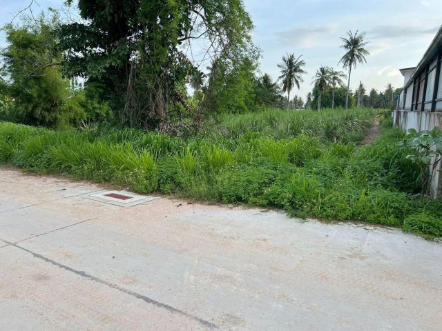 ขายที่ดินตะเคียนเตี้ย มาบหว้า 1 ไร่ ติดถนนคอนกรีต ใกล้หาดกระทิงลาย5.6กม. อ.บางละมุง จ.ชลบุรี