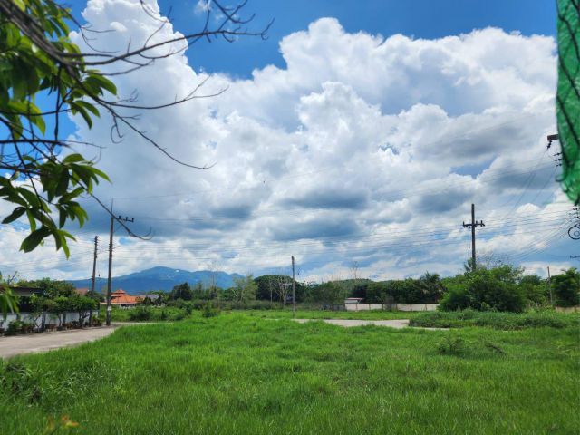 ขายที่ดิน อ.แม่ริม จ.เชียงใหม่