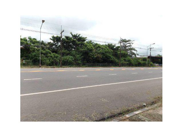 ขายที่ดิน 29 ไร่ ถนนพังโคน-บึงกาฬ ต.ไฮหย่อง อ.พังโคน จ.สกลนคร