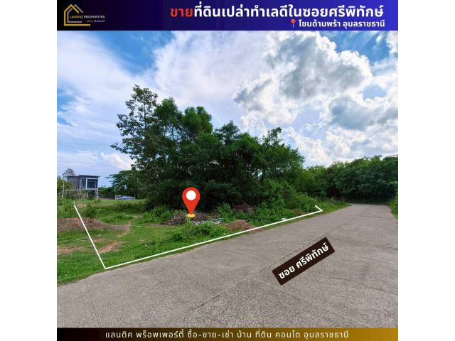 ขายที่ดินทำเลน่าอยู่ ซอยศรีพิทักษ์ ใกล้ ปตท.ด้ามพร้า อำเภอเมืองอุบลราชธานี เดินทางสะดวก เข้า-ออกเมืองง่าย