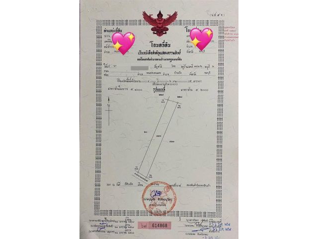 ที่ดินเปล่า 4-2-05 ไร่ ต.หนองบอนแดง อ.บ้านบึง จ.ชลบุรี