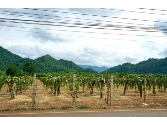 ขายที่ดินหนองน้ำแดง เขาใหญ่ เขาวง 10 ไร่ ติดถนนเส้นหลัก ใกล้มอเตอร์เวย์ M6 ที่สวย วิวเขาสวยชัดมาก ใกล้ถนนธนะรัชต์