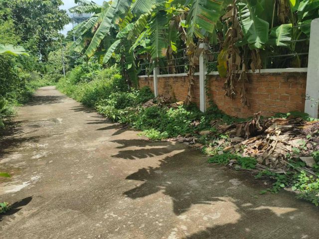 ขายที่ดินตำบลสันผักหวานหางดงล้อมรั้วเรียบร้อย