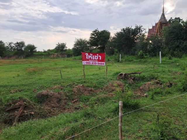 ให้เช่าที่ดิน 1 ไร่ ติดถนนใหญ่สายหลัก3211 ติดกับวัดสุขเดือนห้า เนินขาม ชัยนาท ตอนนั้ที่ดินโซนนี้กระแสมาแรงมากๆ