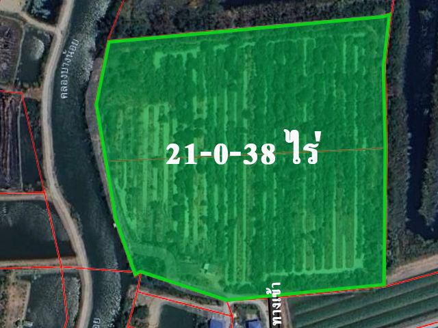 ขายที่ดินแปลงสวย 21 ไร่กว่า ติดคลองบางน้อย ต.บางหลวง อ.บางเลน นครปฐม