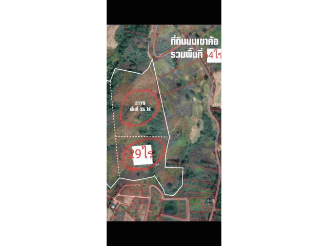 ที่ดินเขาค้อ128ไร่ ใกล้สถานที่ท่องเที่ยว ราคาถูกมาก