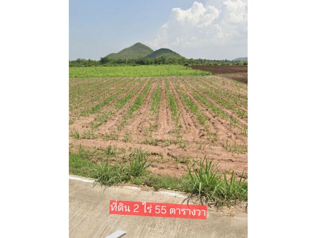 ที่ดินราชบุรีราคาถูก 2 ไร่ 55 ตารางวา พิกัดบ้านหนองยายกะตา ตำบลหินกอง อำเภอเมืองราชบุรี ติดถนนลาดยางไฟฟ้าประปาถึง