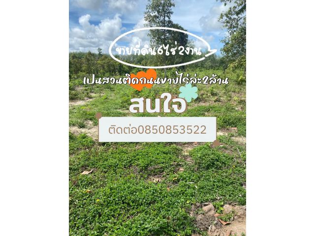 ขายที่ดิน6ไร่2งาน อยู่ตาขัน บ้านค่าย ระยอง