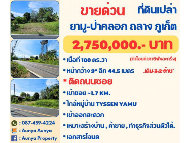 Tel 087-459-4224 #ขายด่วน #ที่ดินเปล่ายามู  #ยามูป่าคลอก ถลาง ภูเก็ต
