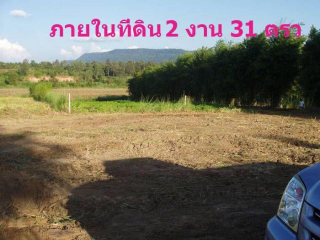 ที่ดินติดเขาวิวสวยภูเรือ 2 งานกว่า ราคาถูกงบน้อยก็ซื้อได้