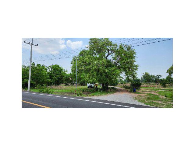 ขายที่ดิน 1 ไร่ ติดถนนลาดยาง ต.หนองสาหร่าย อ.ดอนเจดีย์ จ.สุพรรณบุรี