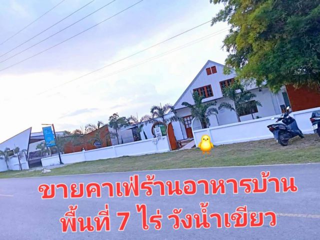 ขายคาเฟ่ร้านอาหารบ้านที่ดินติดถนน 7 ไร่ 6,500,000 บาท