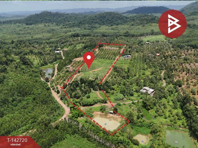 ขายที่ดิน เนื้อที่ 23 ไร่ 1 งาน 13 ตร.วา ท่าใหม่ จันทบุรี