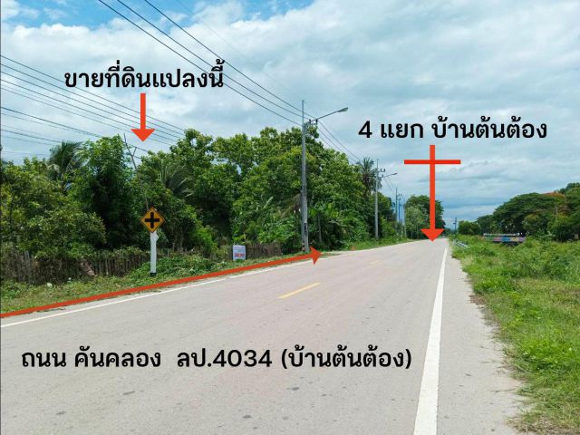 ขายที่ดินเปล่า 1 งาน 47 ตร.วา #บ้านต้นต้อง ต.พิชัย อ.เมืองลำปาง