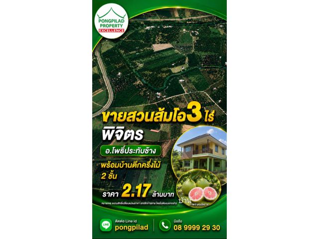 ขายส้มโอพิจิตร โพธิ์ประทับช้าง โฉนด 3 ไร่ พร้อมบ้านตึกครึ่งไม้ 2 ชั้น