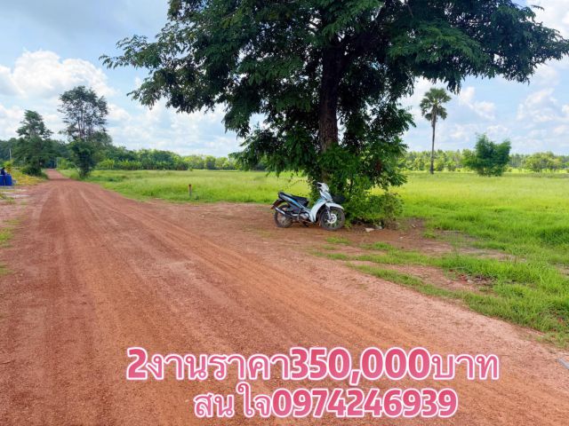 ขายที่ดิน2งานราคาเงินสด350,000บาทใกล้อำกบินทร์บุรี ต กบินทร์ อ กบินทร์บุรี จ ปราจีนบุรี