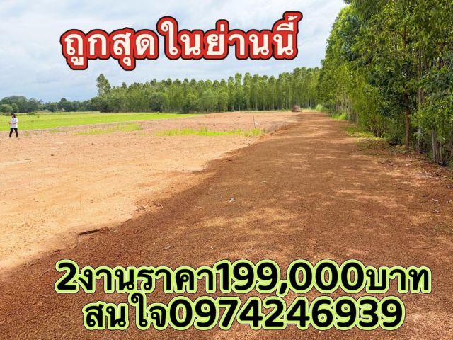 ขายที่ดิน2งานราคาเงินสด199,000บาทบ้านหนองตาสา ต วังดาล อ กบินทร์บุรี จ ปราจีนบุรีเหมาะทำบ้านสวน