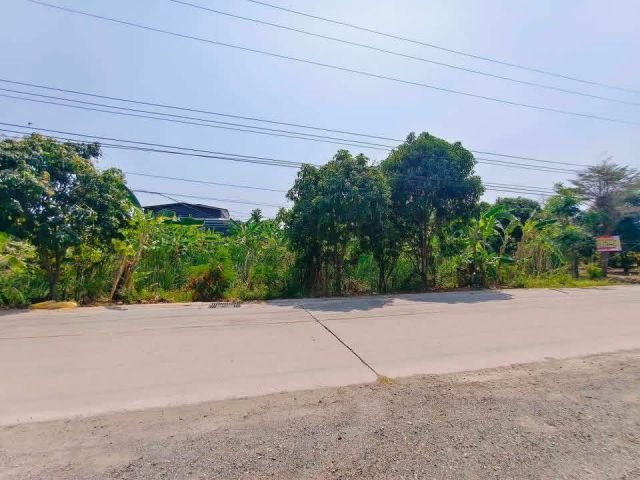 ขายที่ดินปทุมธานีกุญชร2ราคาถูก