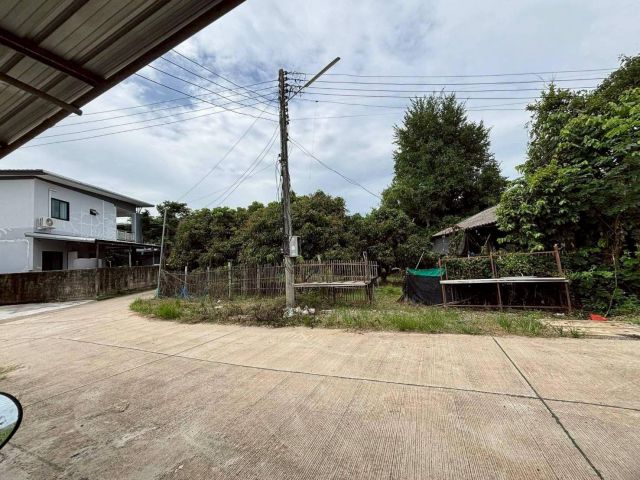ขายที่ดินตำบลน้ำแพร่หางดงติดถนนสองด้านพร้อมโอน