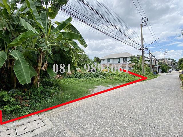 ขายที่ดินถมแล้ว 227.5 ตรว. แปลงสี่เหลี่ยมผืนผ้า ซ.ภาวนา 41 แยก 12
