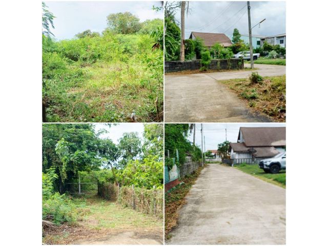 ขายที่ดินท่าสะอ้านสงขลา