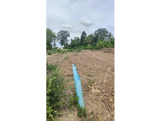 ขายที่ดิน 1 ไร่ ต.วังน้ำซับ อ.ศรีประจันต์ จ.สุพรรณบุรี