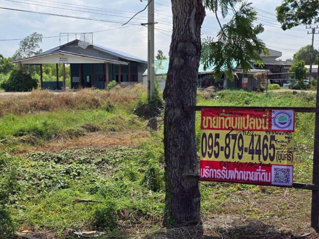 ขายด่วนที่ดินติดถนนบางบัวทอง-สุพรรณบุรี 2 ไร่ เทพมงคล บางซ้าย พระนครศรีอยุธยา