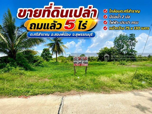 ขายที่ดินเปล่า ต.ศรีสำราญ อ.สองพี่น้อง จ.สุพรรณบุรี พื้นที่ 5 ไร่ ถมแล้ว ห่างจากถนนใหญ่เพียง 200 เมตร ใกล้อบต.ศรีสำราญ
