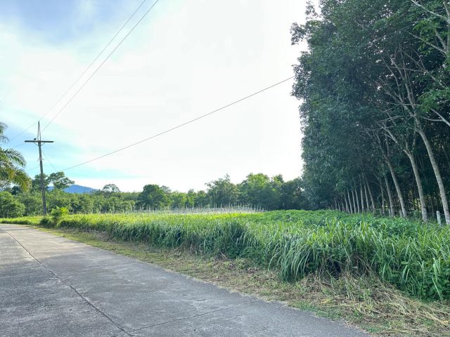 ขายที่ดินสวน ทำเลดี ใกล้ถนนเพชรเกษม
