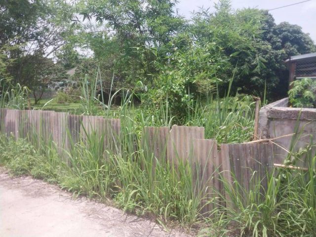 ขายที่ดินบ้านหนองหลวงพัฒนาหนองหารสันทรายพร้อมโอน