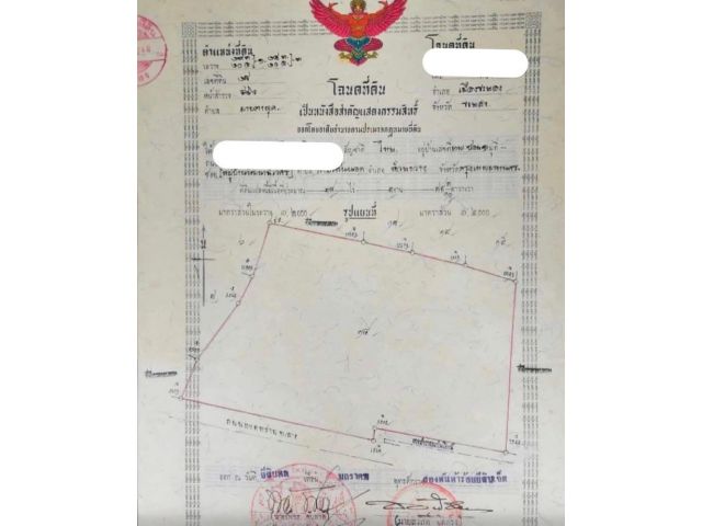 ขายที่ดิน 38 ไร่ นิคมพัฒนาเขต EEC ขายไร่ละ 5,500,000 บาท จ.ระยอง